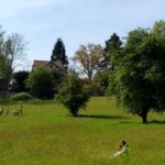 Nettoyons la nature 2017